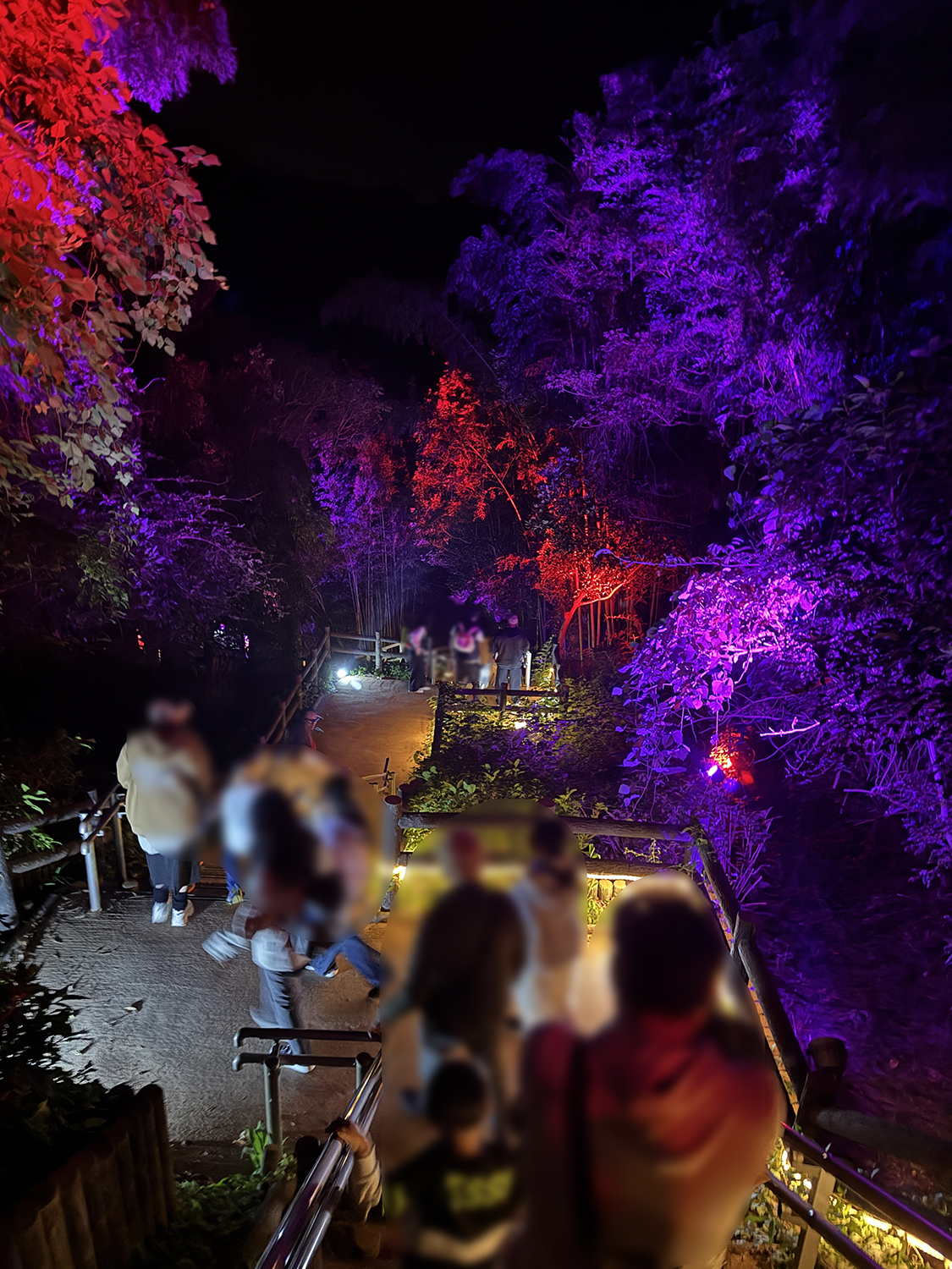 【ニジゲンノモリ鬼滅の刃コラボ】ナイトウォーク無限城への軌跡遠征レポ【山を歩くハードなアトラクションでした】