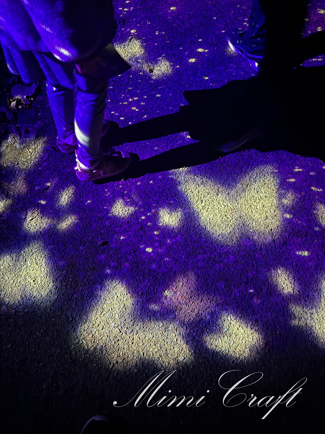 【ニジゲンノモリ鬼滅の刃コラボ】ナイトウォーク無限城への軌跡遠征レポ【山を歩くハードなアトラクションでした】