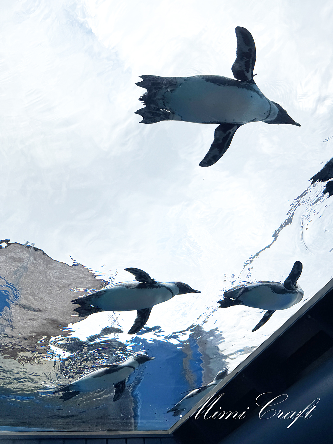 【サンシャイン水族館遠征レポ】サンシャインシティ×鬼滅の刃コラボ【屋外エリアが至福でした】