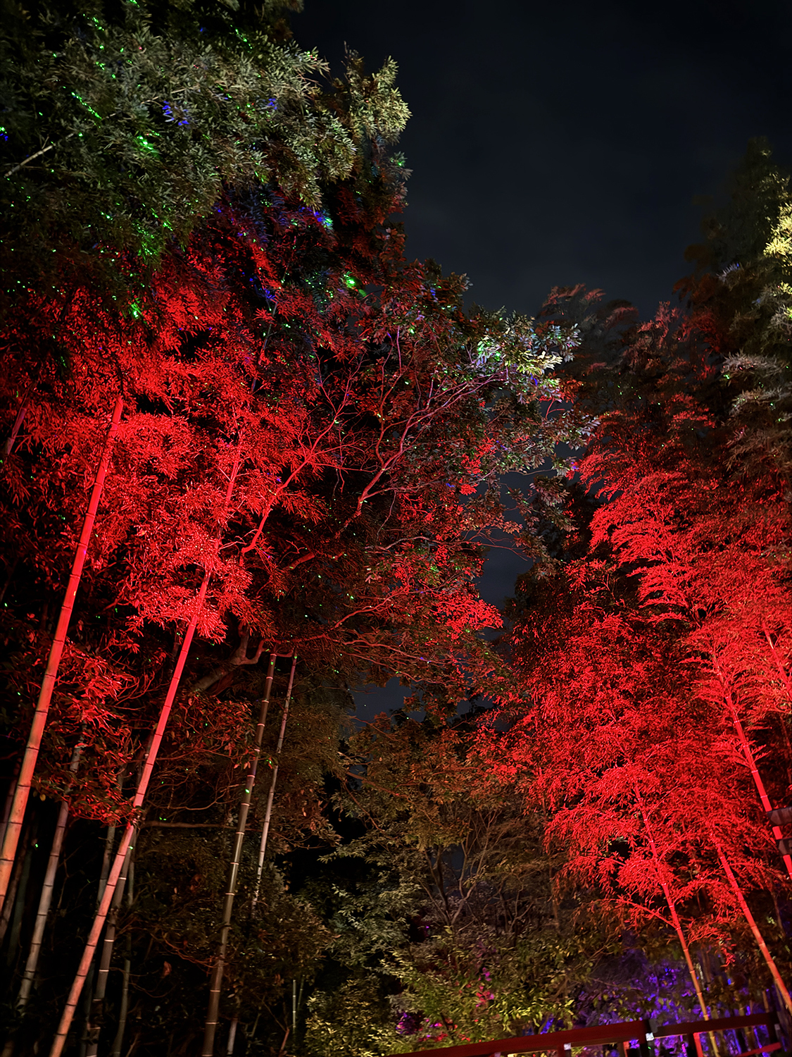 【ニジゲンノモリ鬼滅の刃コラボ】ナイトウォーク無限城への軌跡遠征レポ【山を歩くハードなアトラクションでした】