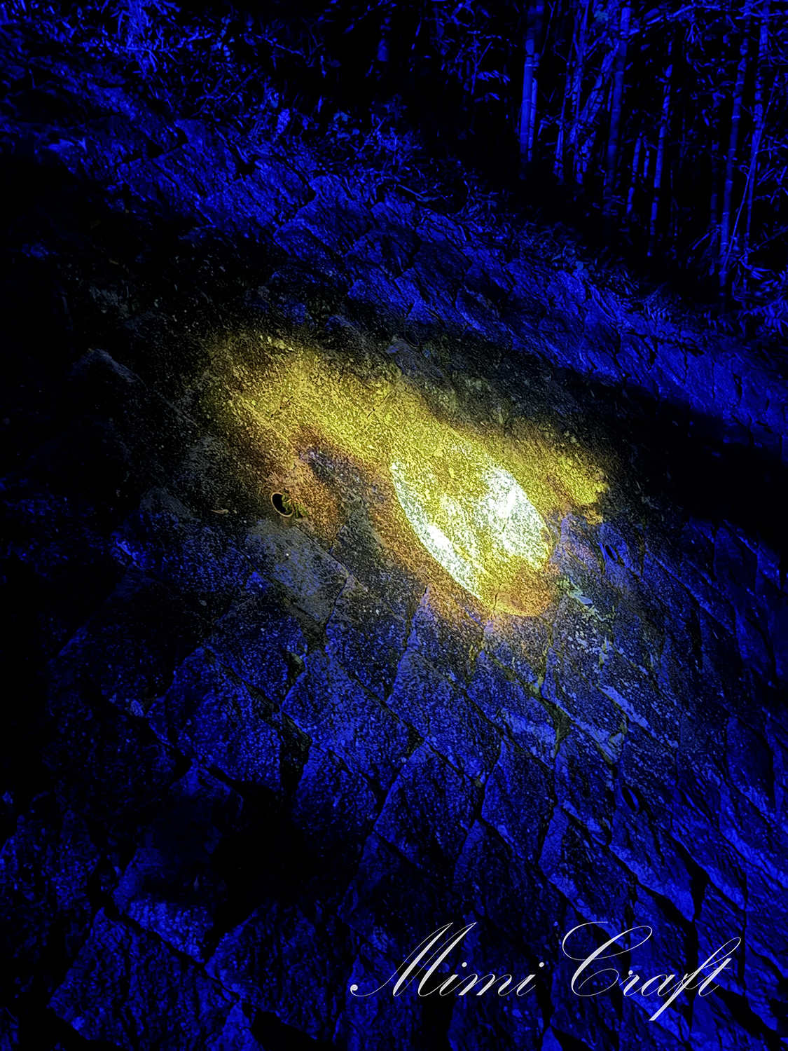 【ニジゲンノモリ鬼滅の刃コラボ】ナイトウォーク無限城への軌跡遠征レポ【山を歩くハードなアトラクションでした】