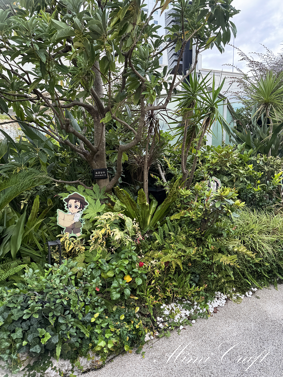 【サンシャイン水族館遠征レポ】サンシャインシティ×鬼滅の刃コラボ【屋外エリアが至福でした】